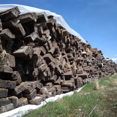 ferrovia-pa-tp-ricciardello-costruzioni-(12)