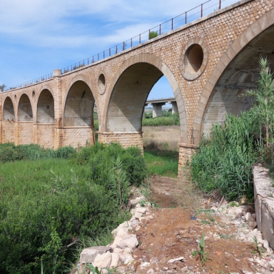 pagina-societa-ricciardello-costruzioni-spa-(3)