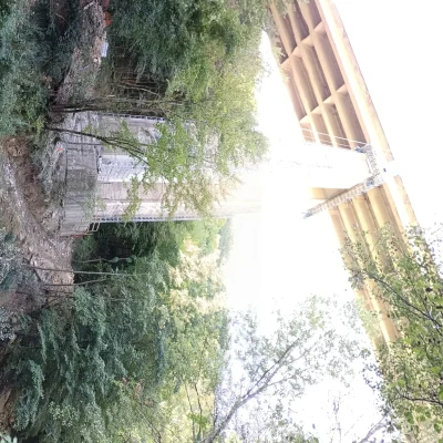 viadotto-tevere-ricciardello-costruzioni-(5)